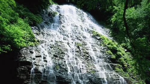 工业电子精密